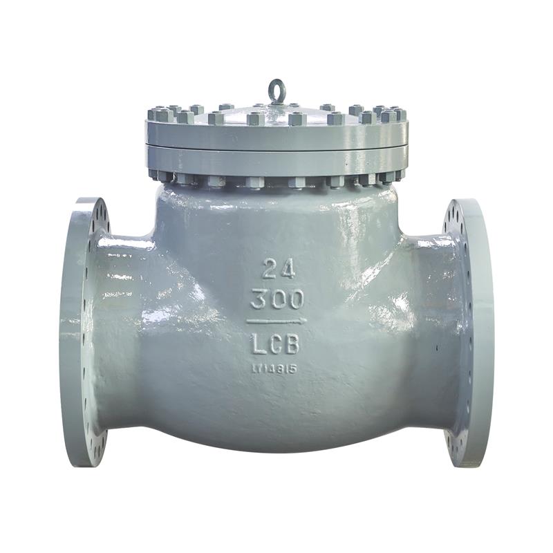 API Check Valve