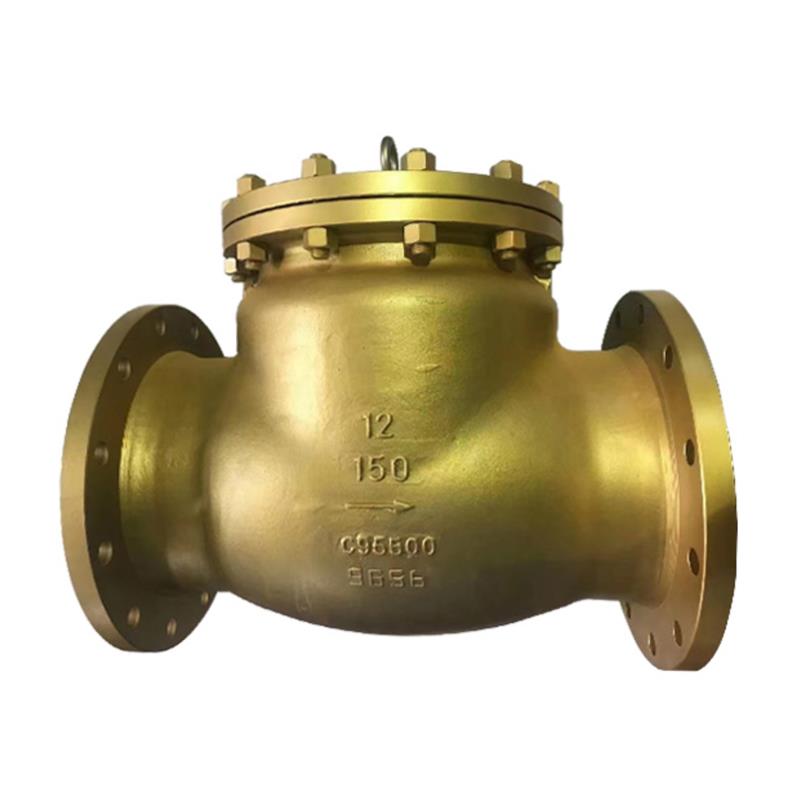 API Special Material C95800 Check Valve