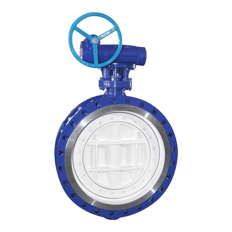 Worm Gear Flange Butterfly Valve