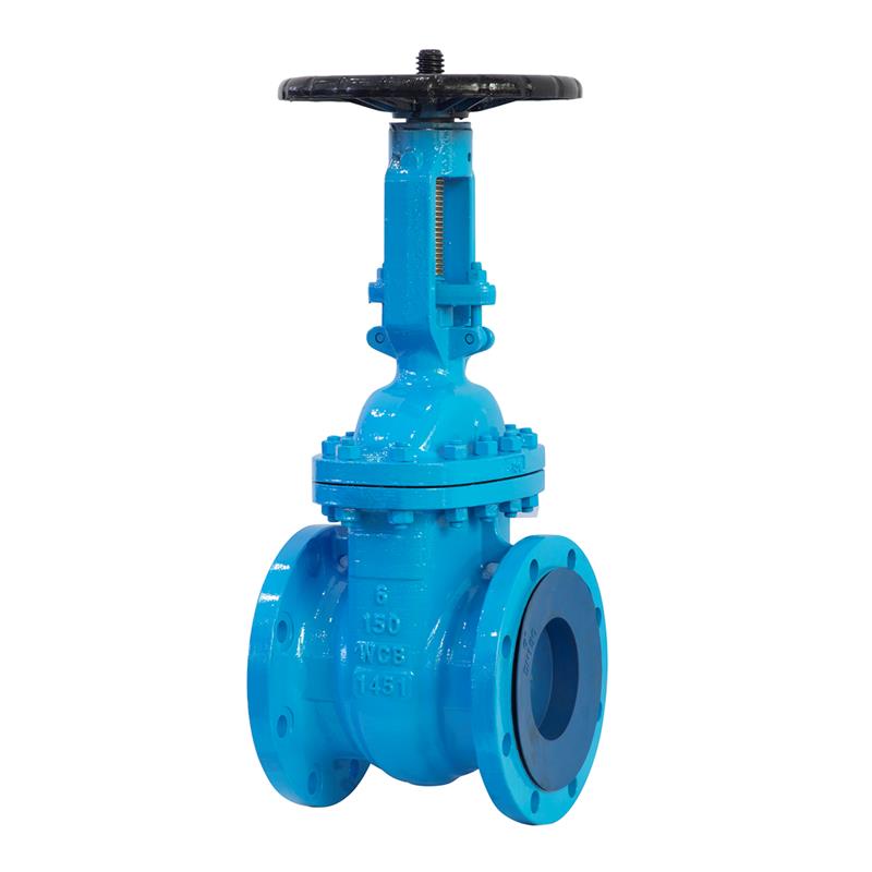 API Gate Valve