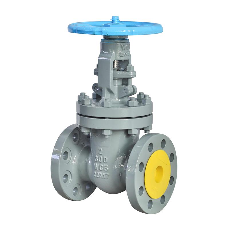 API Gate Valve