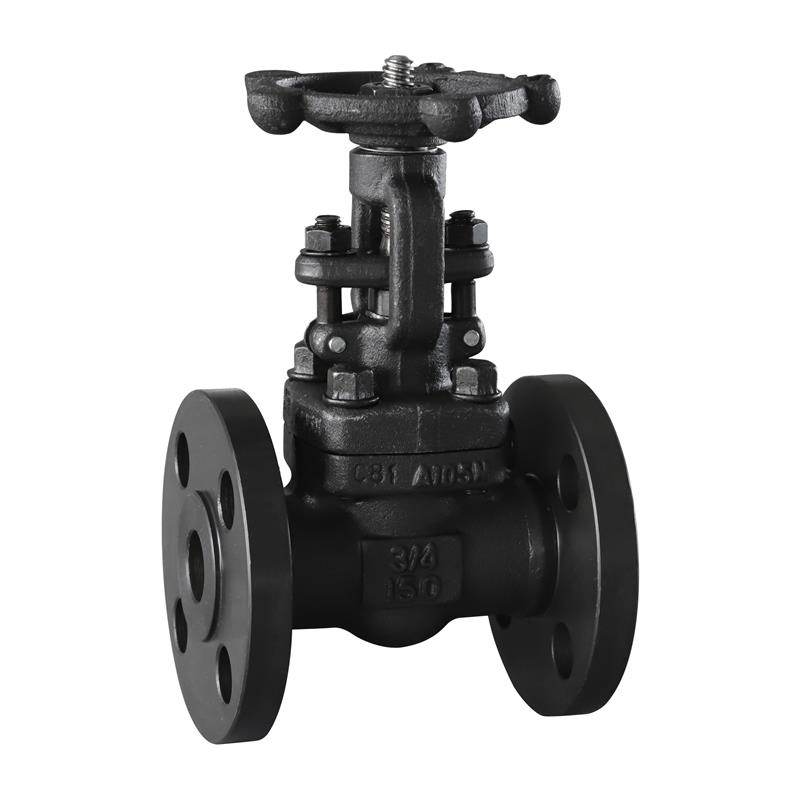 Forged Steel Flanged Gate Valve