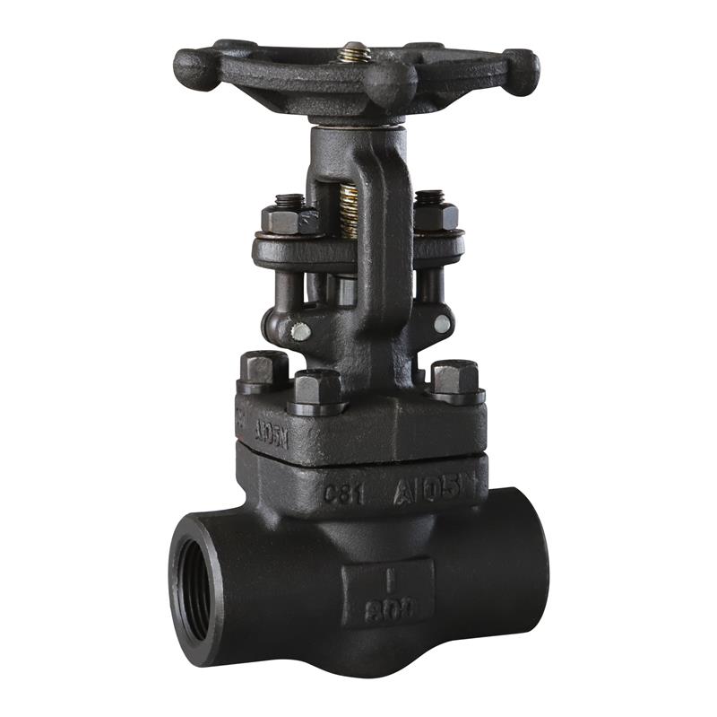 Forged Steel Thread Globe Valve