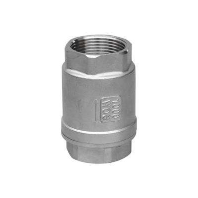Screw Thread Vertical Check Valve