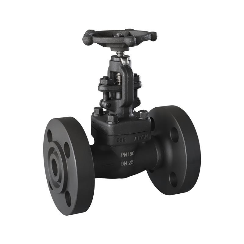 Forged Steel Flanged Globe Valve