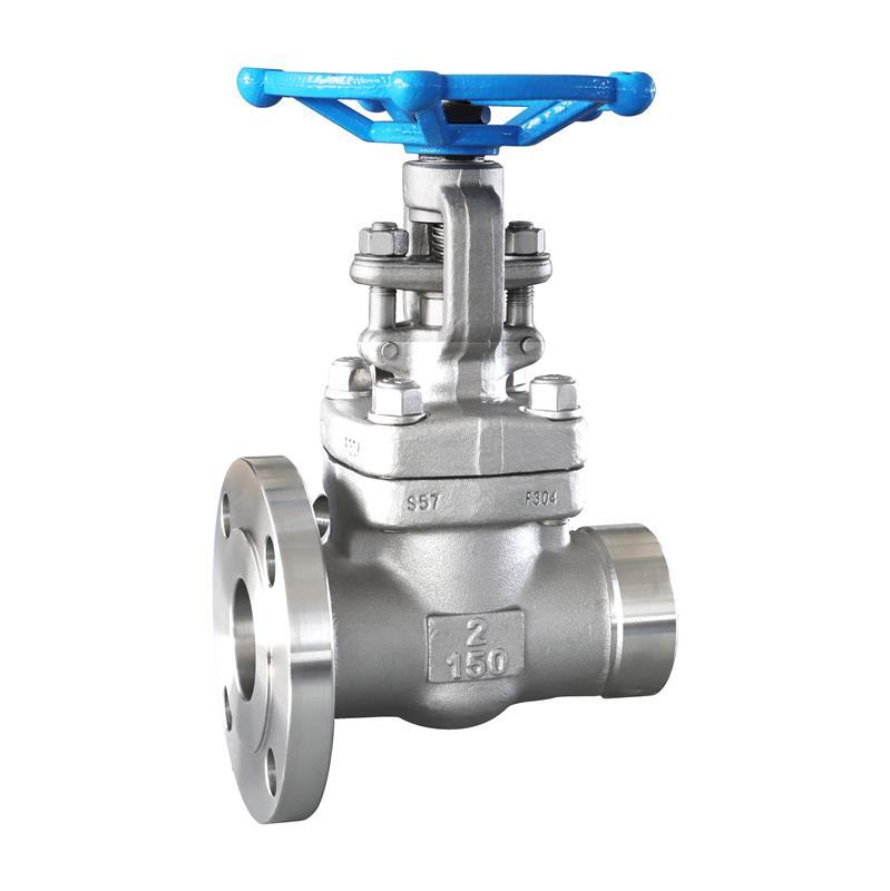 Forged Steel non-standard Gate Valve