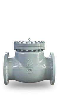 Check valves